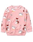 Little Hand Mädchen Sweatshirt für Kinder Baumwolle Top Casual Jumper Kleinkind Langarm Pullover, 104 / HerstellerGröße: 100, 1-rosa